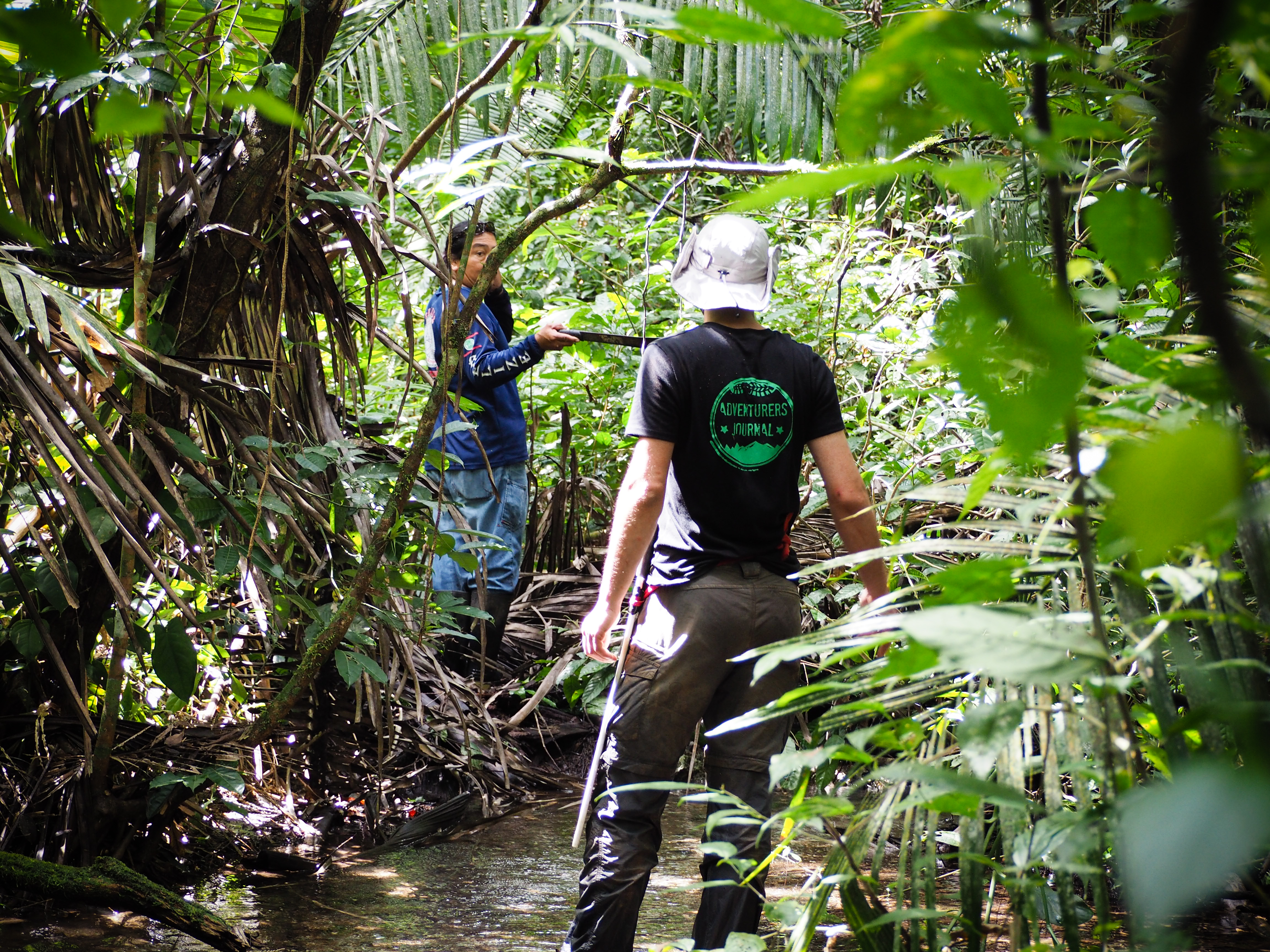 Survival in the jungle of Belize