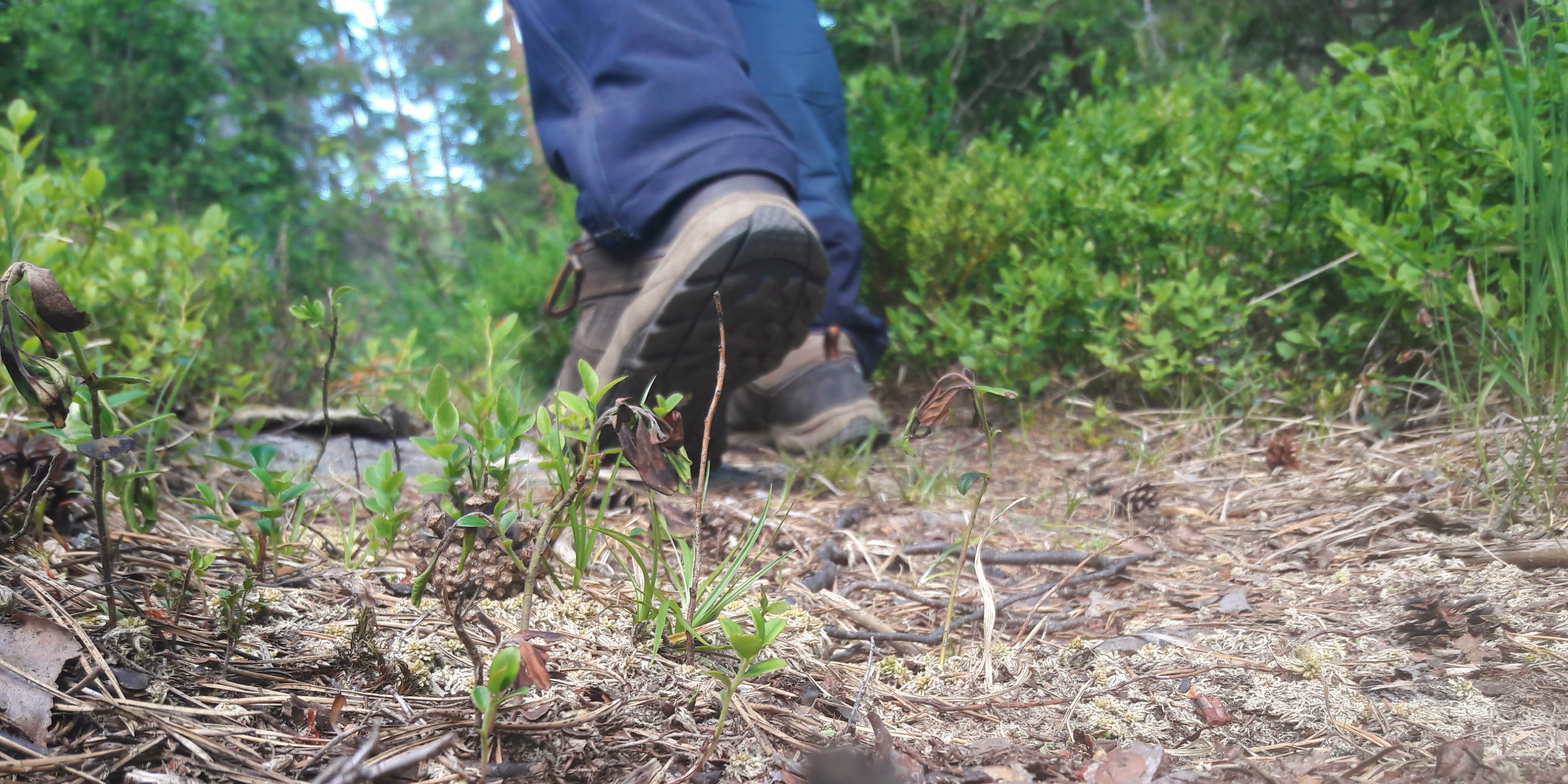 7 tips to make you an enthusiastic hiker