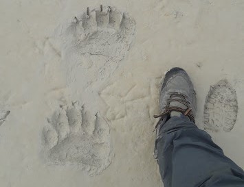 Het Leven van een Avonturier – De Neveneffecten