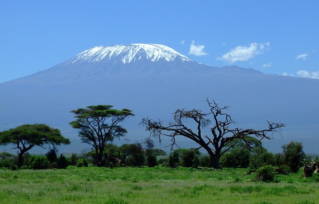 How to climb Kilimanjaro – tips to make it to the top