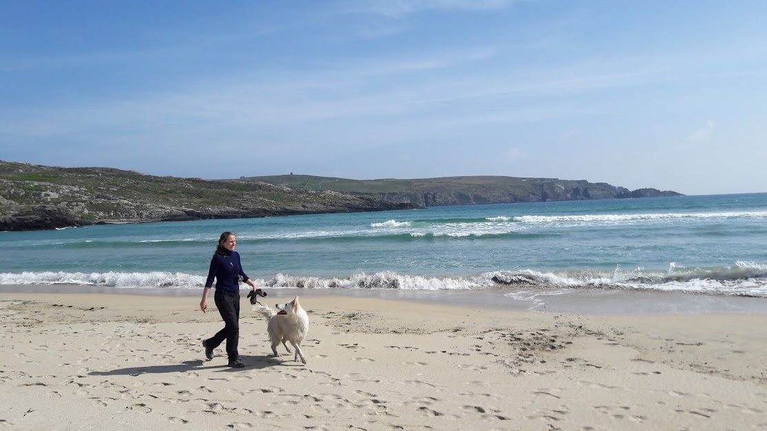 5 adventures to share with your dog